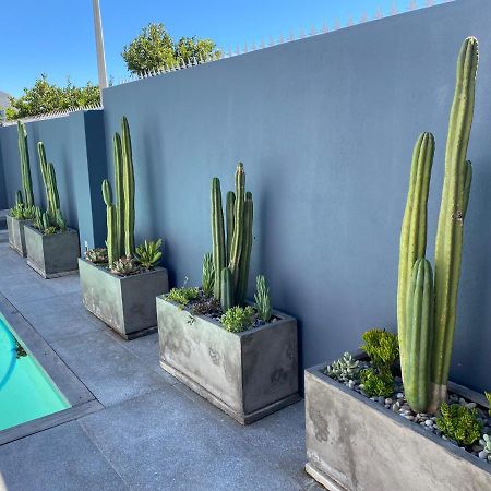 Splash Boutique Guesthouse Cape Town Ngoại thất bức ảnh